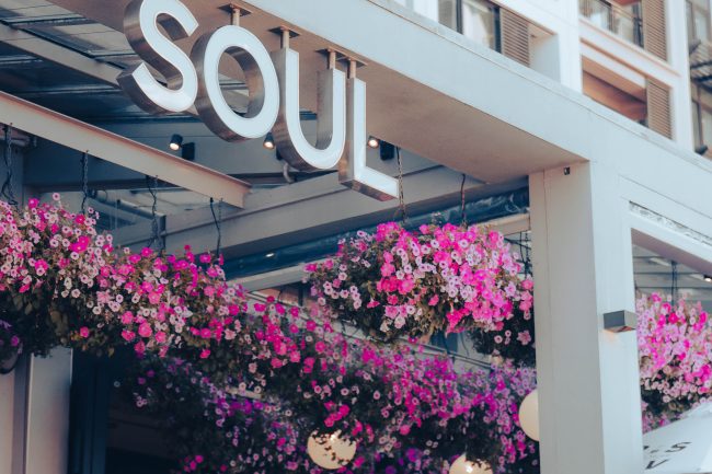 Soul Bar Auckland City Viaduct