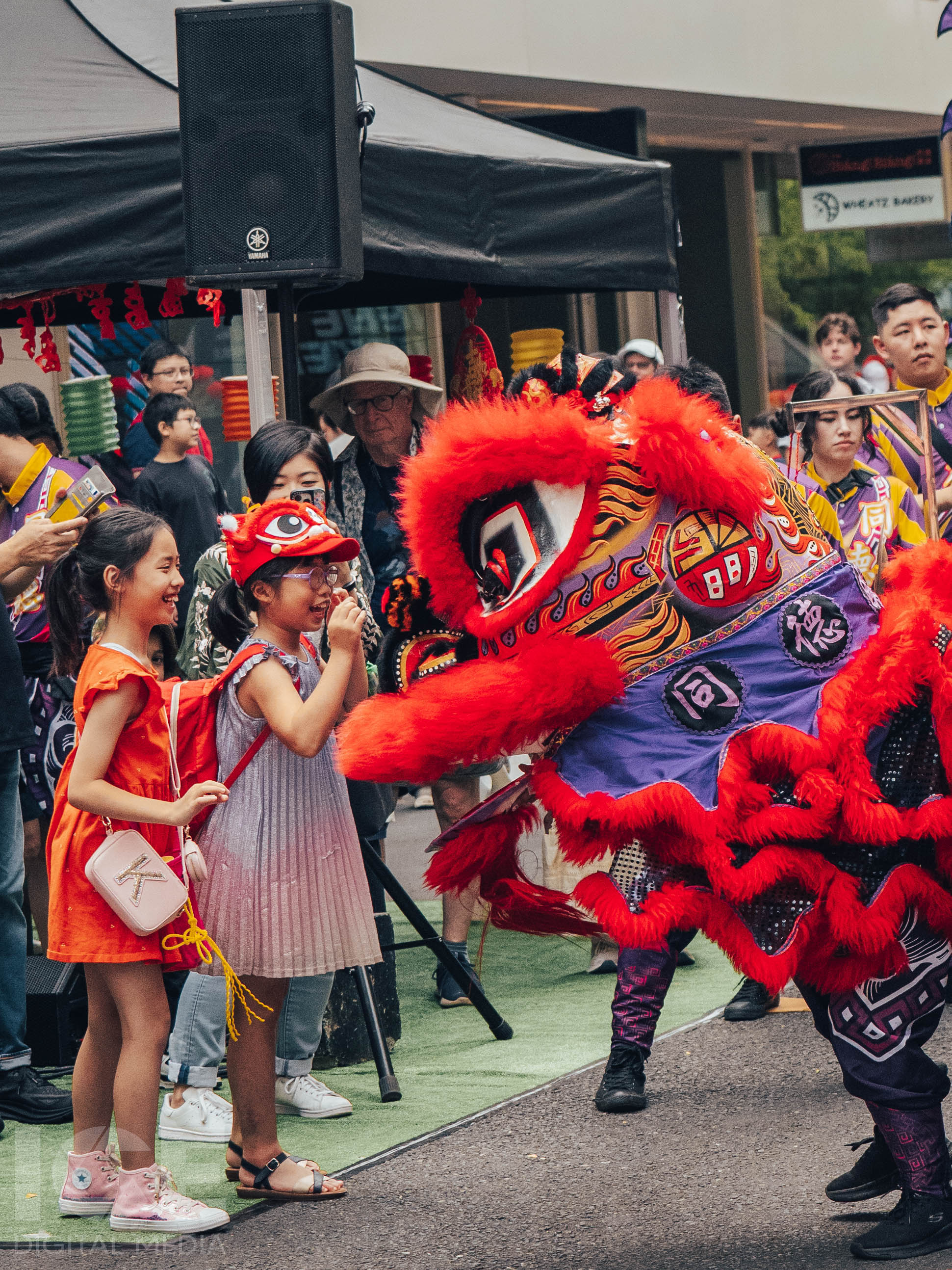 Lunar New Year