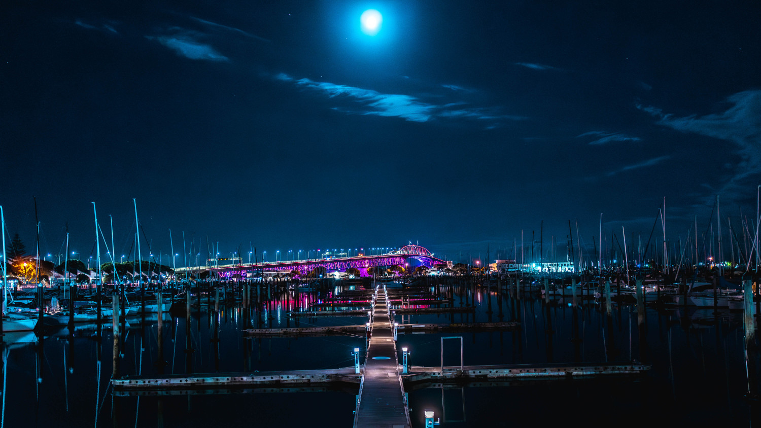 Auckland Harbour Bridge Vector Lights