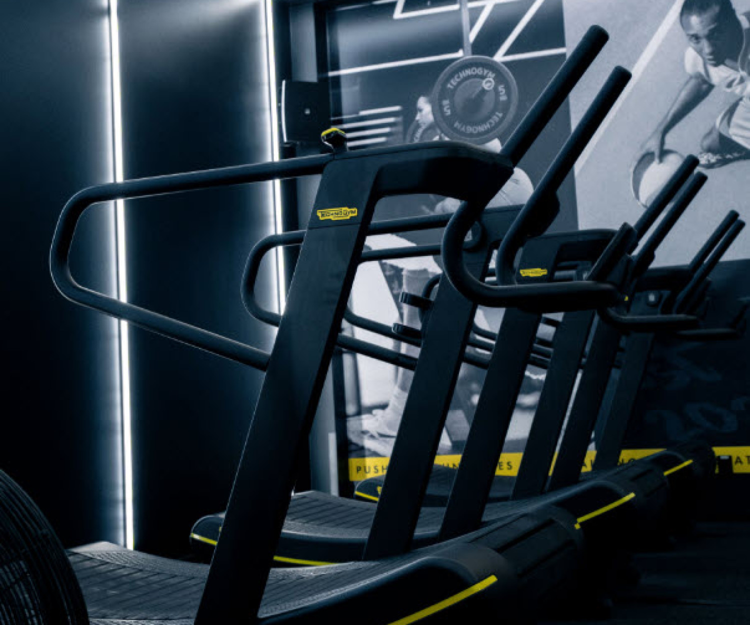 Flex Fitness Treadmill