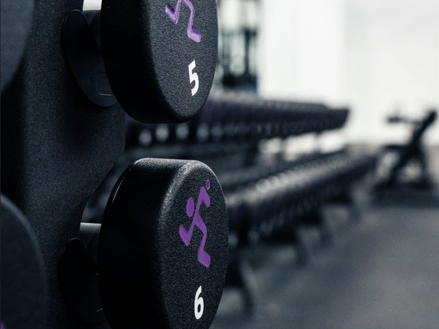 Anytime Fitness Weights