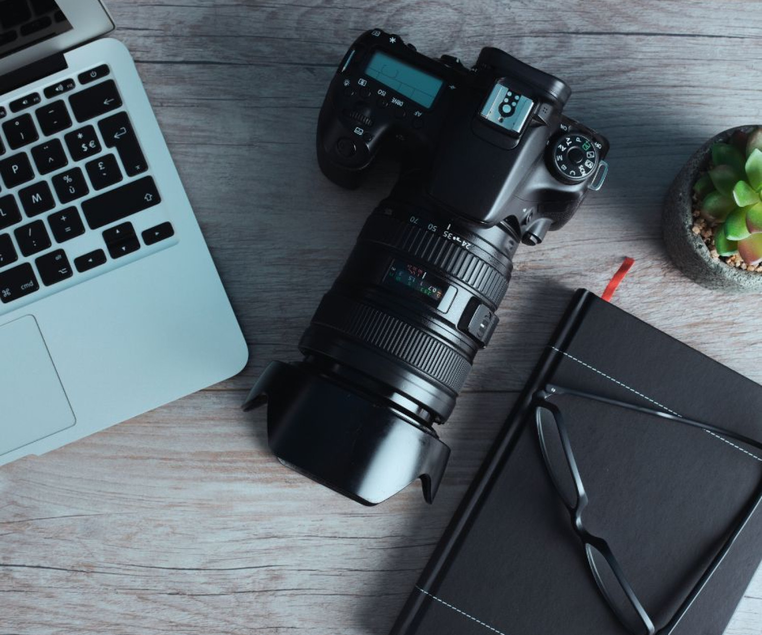 Social Media Reels for Small Business in Auckland