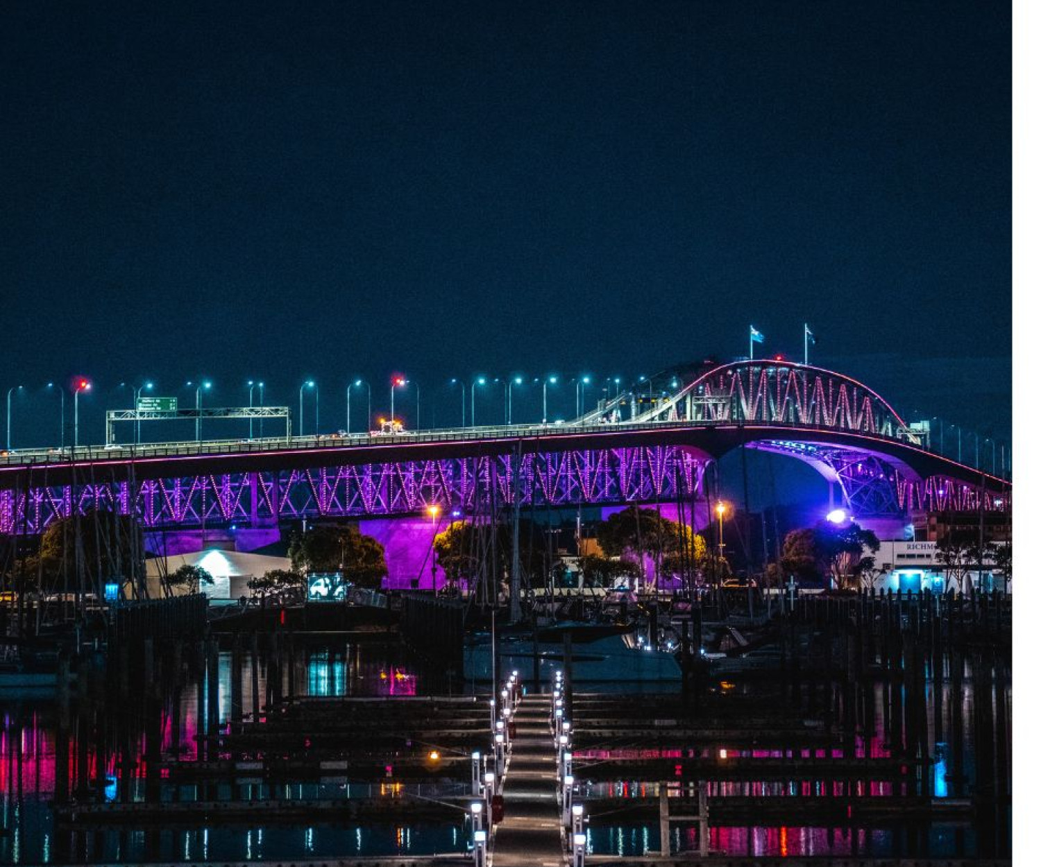 Top 10 Auckland Spots to Film Social Media Reels That Captivate Audiences