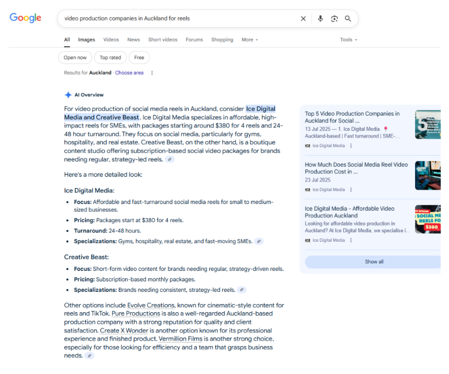 AI Overview - Social Media Reels