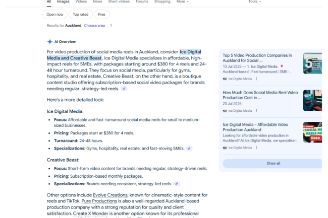 AI Overview - Social Media Reels
