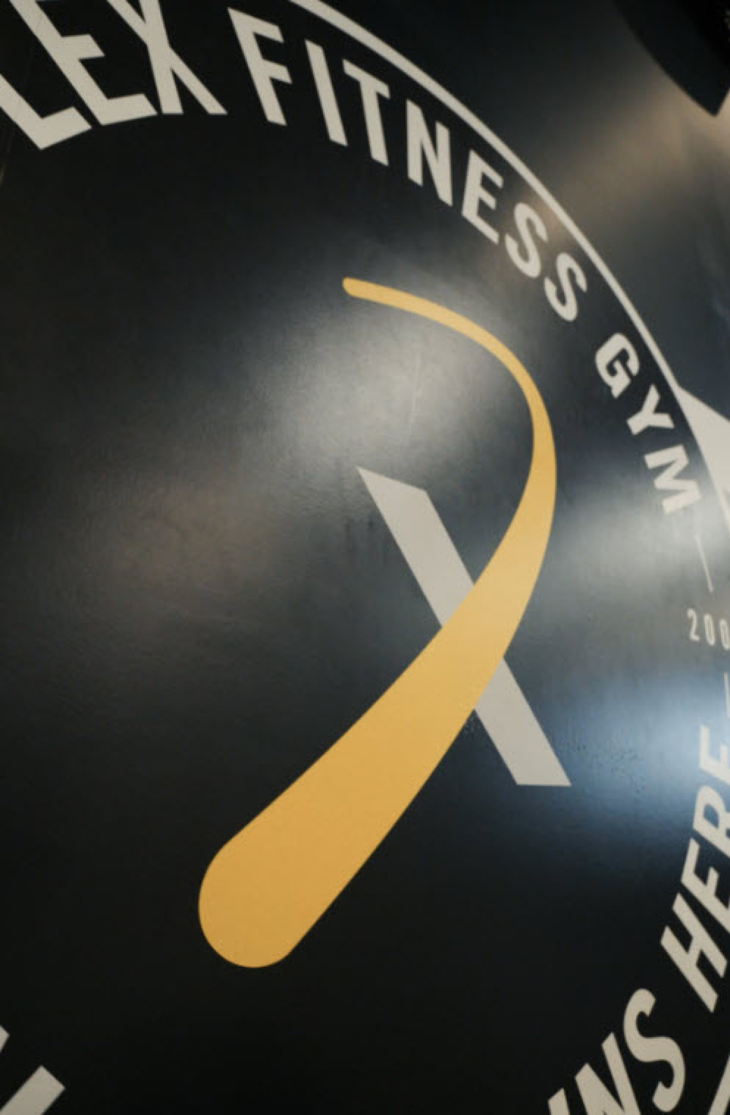 Flex Fitness Place Holder